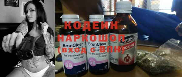 дурь Арсеньев