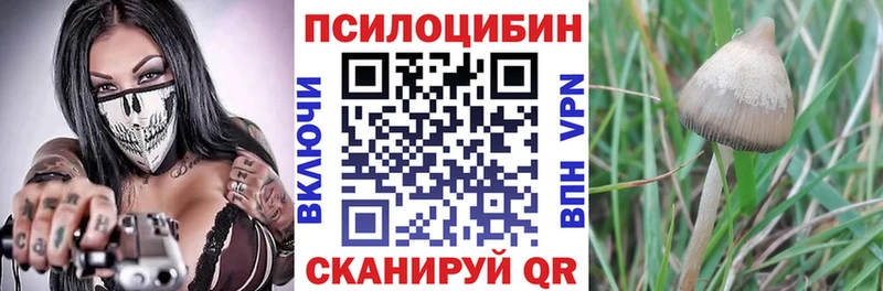 Галлюциногенные грибы Magic Shrooms mega ТОР Удачный купить наркотик